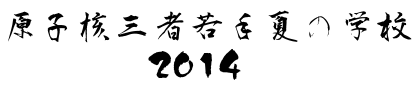 原子核三者若手夏の学校2014