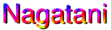 Y.Nagatani's Web Page