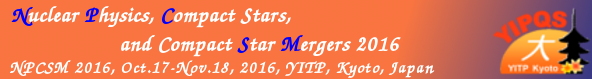 Nuclear Physics, Compact Stars, and Compact Star Mergers 2016,
Oct.17-Nov.18, 2016, YITP, Kyoto, Japan
