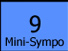 Mini-Symposium Nov.9