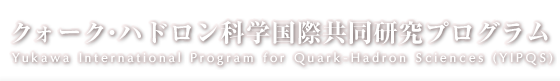Yukawa International Program for Quark-Hadron Sciences (YIPQS)