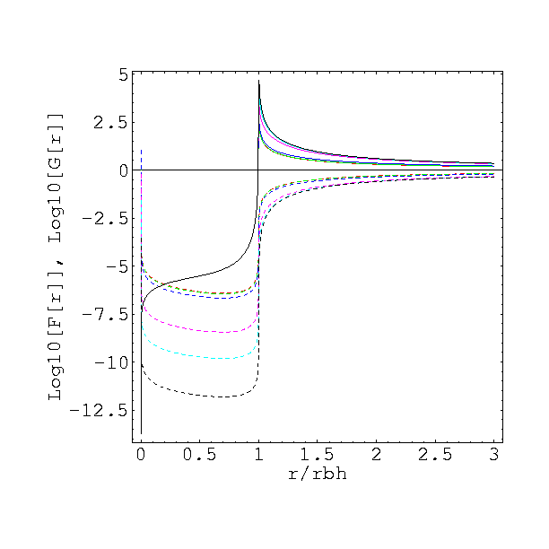 Metric Profile of the Charged Radiation Ball